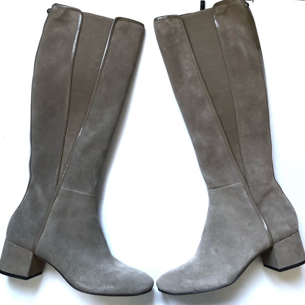 Donald Pliner Cathi Suede Heeled Tall Boot NWB